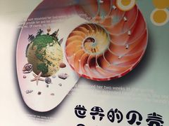 -青岛贝壳博物馆