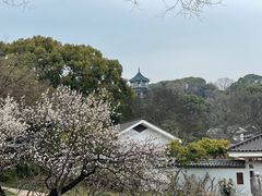 -无锡梅园公园