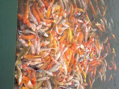 -北戴河圣蓝海洋公园