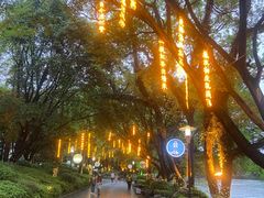 -桂林市榕杉湖景区