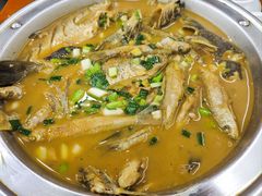 -全乐鱼馆·淳牌有机鱼直营店
