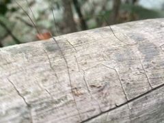 -老君洞旅游度假区