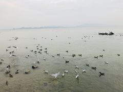 -深圳湾公园(南山区)