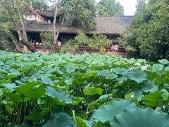 -成都武侯祠博物馆