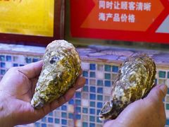 -巽寮印象美食部落餐厅·海鲜·地方特色菜(惠州体验店)