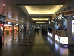 -厦门高崎国际机场-T3航站楼