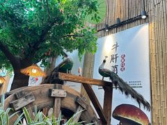 -大理董·董家小厨野生菌火锅(古城旗舰店)