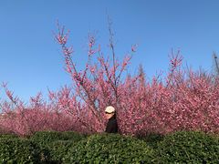 -冶父山国家森林公园