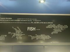 菜单-鱼酷活鱼烤鱼(昆明路店)