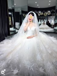 点击看大图 -艾米丽婚纱礼服