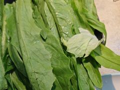 -洞庭洲·防空洞火锅·铜锅涮肉·烧烤(新百广场店)