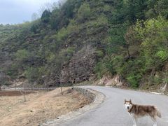 -北京山里寒舍度假酒店
