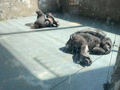 -无锡动物园·太湖欢乐园