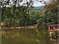 -广州市石门国家森林公园
