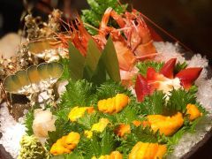 -初花·日本料理