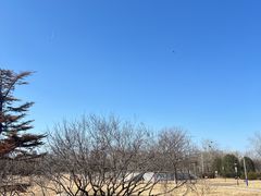 -太阳宫公园
