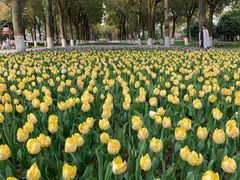 -上海四季花港-停车场