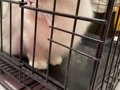 -凯德广场(武胜路店)