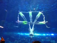 -华夏文旅海洋公园