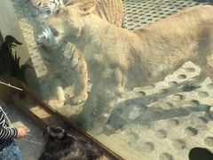 -西安秦岭野生动物园