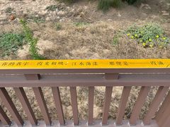 -大京沙滩