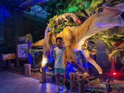 -恐龙探索乐园(磁器口店)