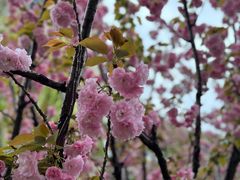 -象屿大宁悦府