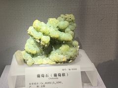 -湖南省地质博物馆