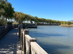 -野鸭湖国家湿地公园