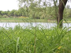 -南海子公园