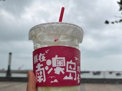 -南澳岛打卡果汁冰公司