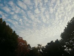 -苏州环秀晓筑养生度假村