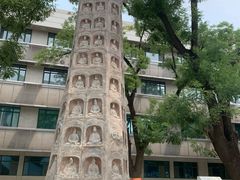 -中国人民大学-博物馆