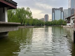 -团结湖公园
