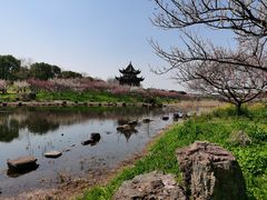 -上海海湾国家森林公园