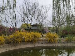 -南翠屏公园