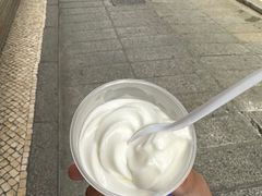 -洪馨椰子