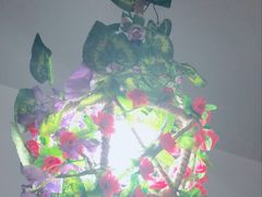 -忘忧草融合私房菜(红鼎国际店)