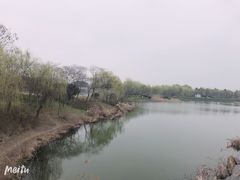 -尚贤河湿地