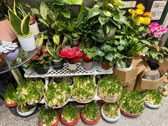 -FEI FEI FLOWER鲜花店·气球派对·宝宝宴布置(虹口德必运动Loft店)