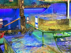 -友强·23年特色海鲜大排档(厦门店)