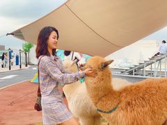 -Blue Concept Cafe&Farm·關於藍