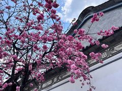 -大理洱海