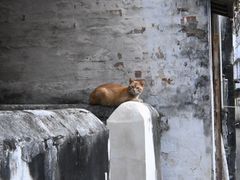 -煲煲掂风味煲仔饭餐厅(西区店)