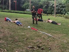 -南宁良凤江国家森林公园