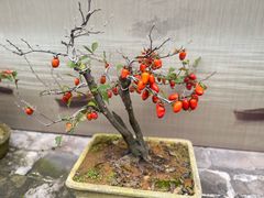 -溪口-滕头旅游景区