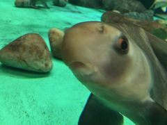 -常州海昌海洋探索馆