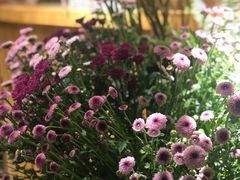 -春暖花开(西溪店)