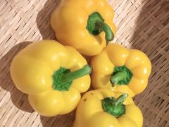 -千稻剁椒大鱼头(CityOn熙地港店)