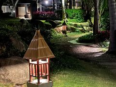 -日落吧·海景咖啡厅·餐酒吧·鸡尾酒·下午茶·乐队表演·浪漫夕阳·三亚文华东方酒店